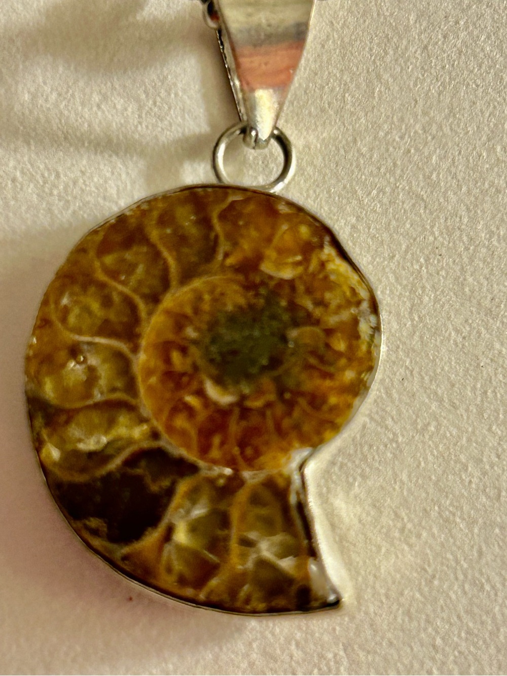 NWOT Necklace Fossilized Ammonite .925 Sterling sp pendant, 18” SS SP chain